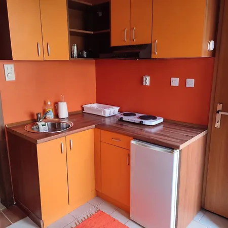 Stojicic Apartment